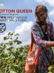 Cotton Queen